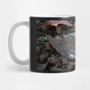 Rain Filled Leaf Mug